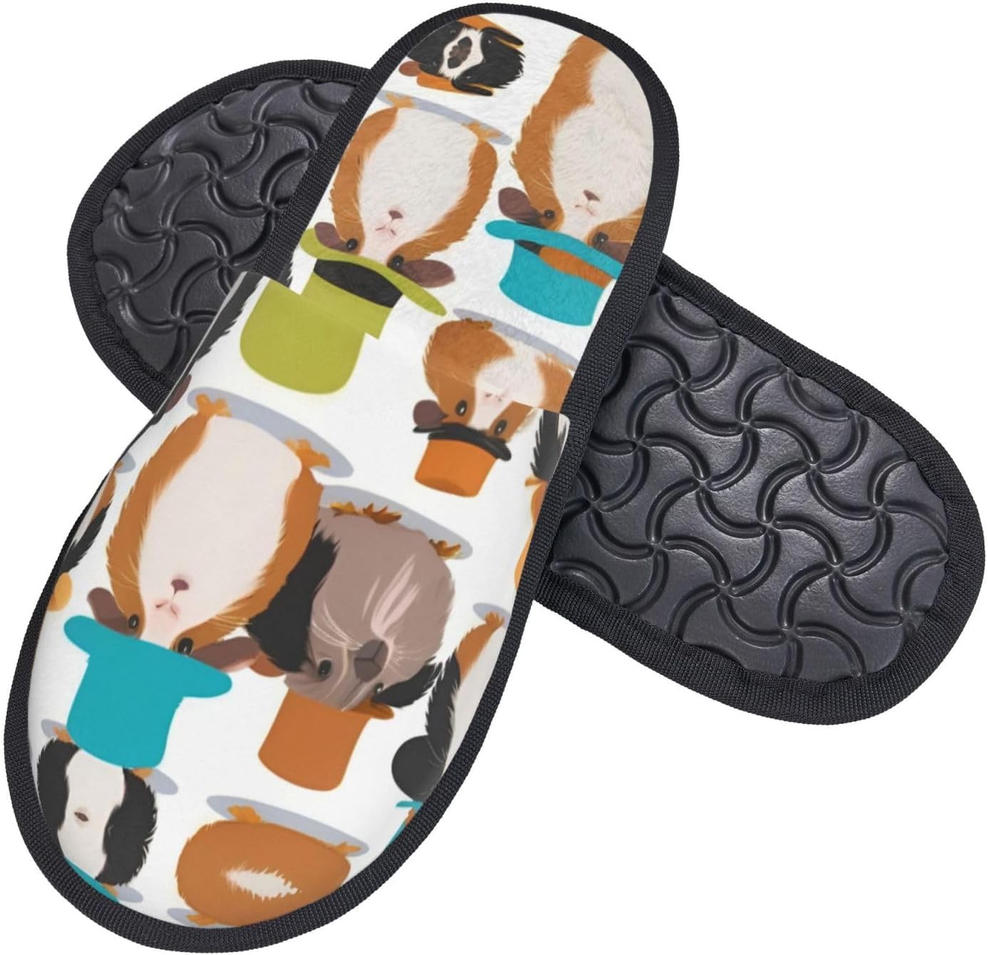 Guinea Pig Illustration printi - Men Shoes Illustration recension och pris